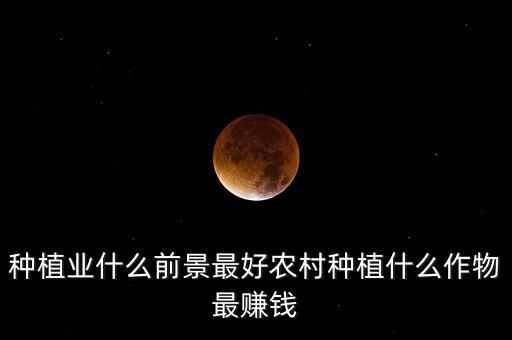 种植业什么前景最好农村种植什么作物最赚钱