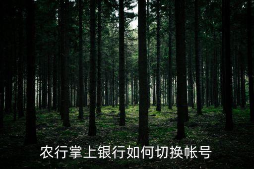 农业银行手机怎么退出账号,手机农业银行怎么切换账号登录