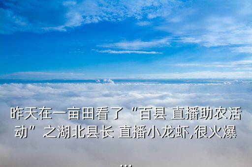 昨天在一亩田看了“百县 直播助农活动”之湖北县长 直播小龙虾,很火爆...