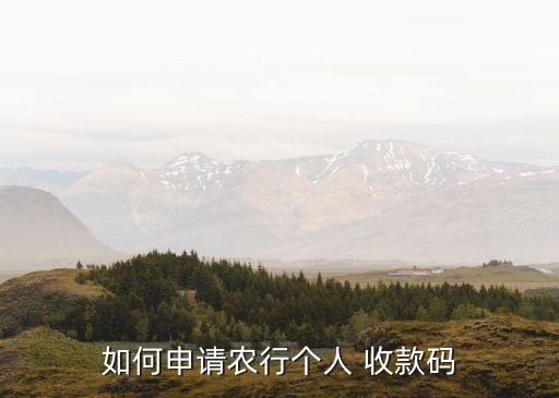 如何申请农行个人 收款码