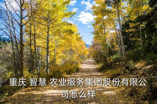 后园智慧农业怎么样,潍柴雷沃智慧农业怎么样