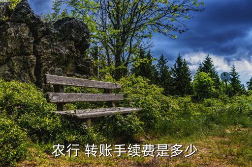 农业银行柜台转账怎么收费