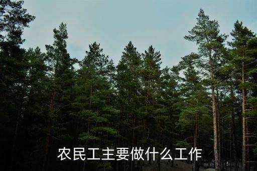  农民工主要做什么工作