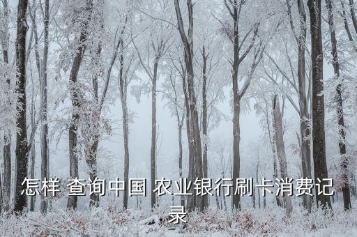 怎样 查询中国 农业银行刷卡消费记录