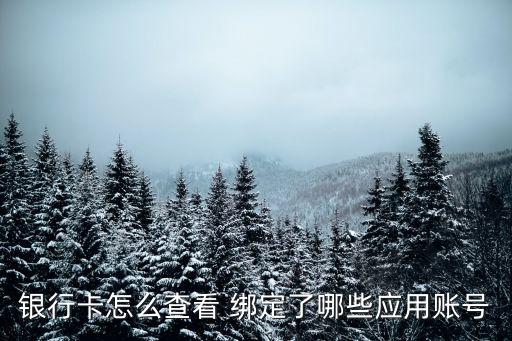手机农业银行怎么看绑定,农业银行怎么看绑定了哪些快捷支付