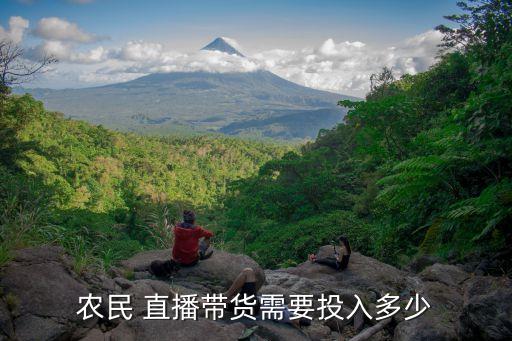 农民 直播带货需要投入多少