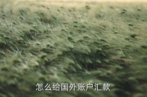 怎么给国外账户汇款