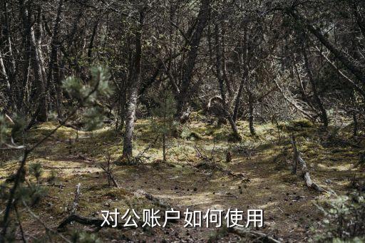 农业银行公户怎么授权