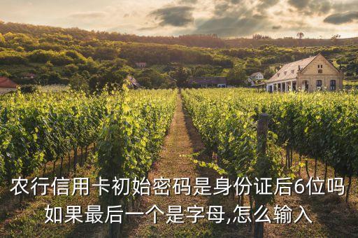 农业银行后6位怎么查询