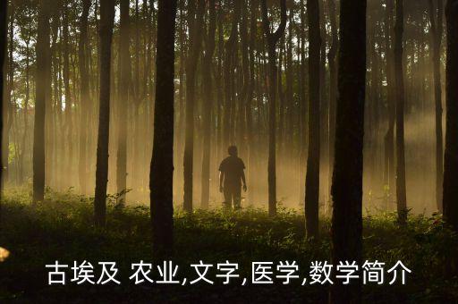 农业这两个字怎么读