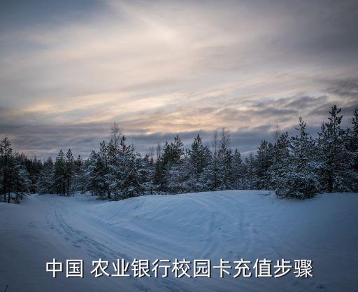农业银行食堂交费怎么交