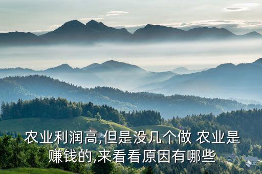农业科技公司怎么赚钱,小型科技公司怎么赚钱