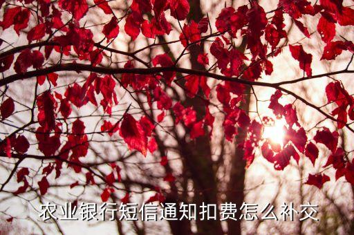 农业银行卡怎么还缴费