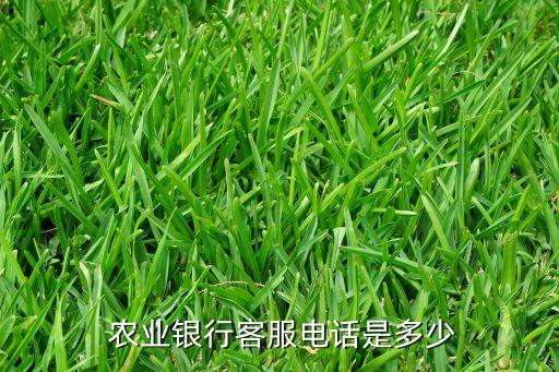  农业银行客服电话是多少