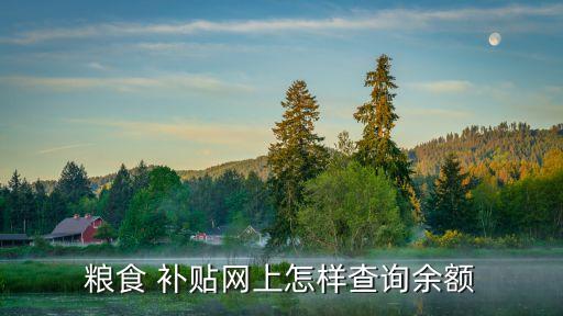 粮食 补贴网上怎样查询余额