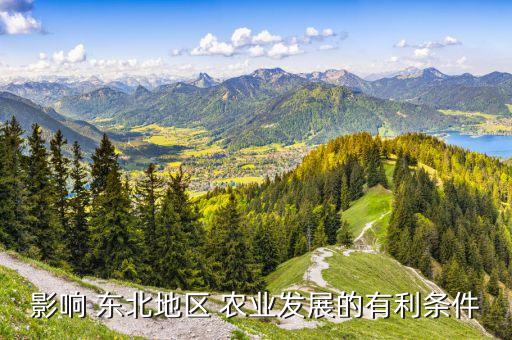 影响 东北地区 农业发展的有利条件