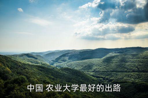 中国 农业大学最好的出路
