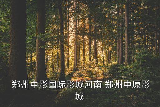  郑州中影国际影城河南 郑州中原影城