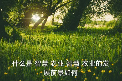 什么是 智慧 农业 智慧 农业的发展前景如何
