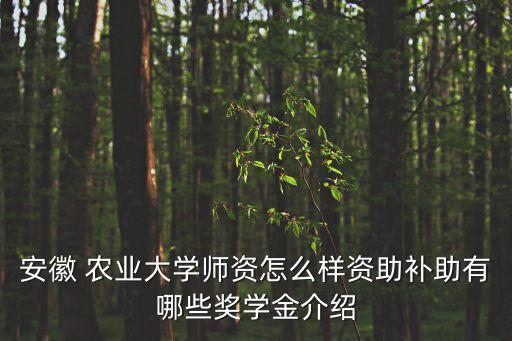 源耀农业前景怎么样,上海源耀农业股份有限公司怎么样