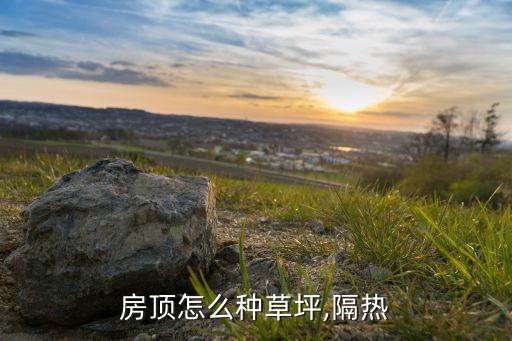 屋顶农业怎么做,新加坡屋顶农业