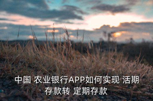 农业银行定期怎么转成活期,手机上农业银行转定期可靠