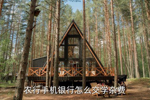 农业银行合了怎么交