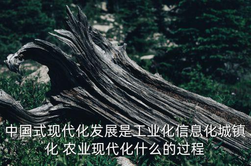 中国式现代化发展是工业化信息化城镇化 农业现代化什么的过程