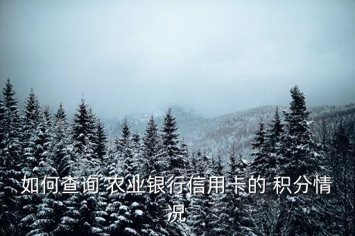 农业银行收款积分怎么查,手机农业银行怎么查收款记录