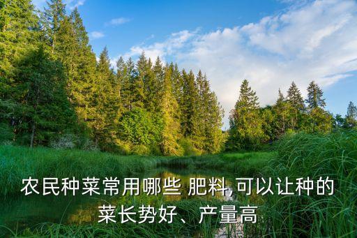 农民种菜常用哪些 肥料,可以让种的菜长势好、产量高