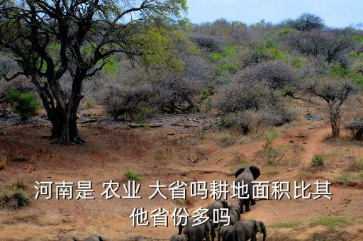河南农业大省怎么样