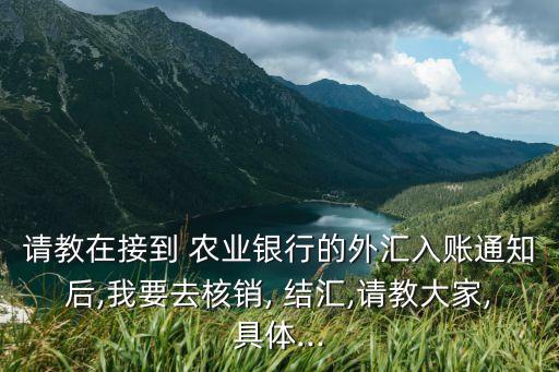 农业银行收汇结汇怎么操作
