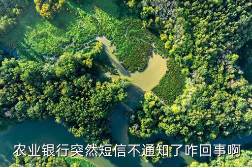  农业银行突然短信不通知了咋回事啊