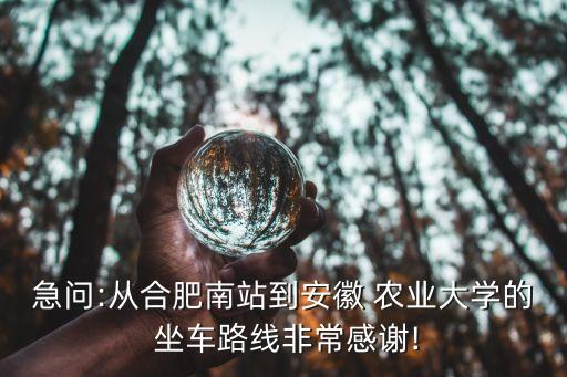 去农业大学怎么坐车,成都东站到农业大学怎么坐车