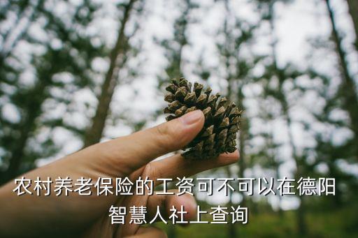 农村养老保险的工资可不可以在德阳 智慧人社上查询