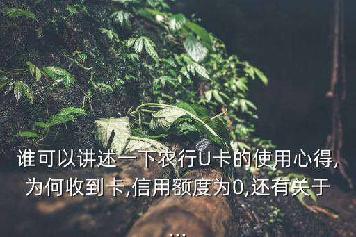 谁可以讲述一下农行U卡的使用心得,为何收到卡,信用额度为0,还有关于...