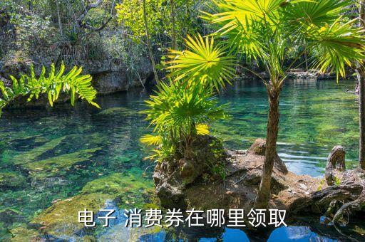 电子 消费券在哪里领取