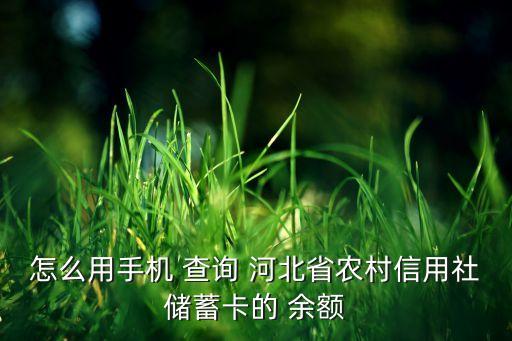 怎么用手机 查询 河北省农村信用社储蓄卡的 余额