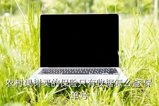 怎么查农业保单明细表格,农业卡怎么查明细
