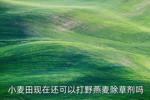 农业专家小麦打野麦怎么打