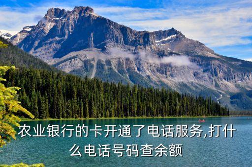 农业银行怎么抽话费