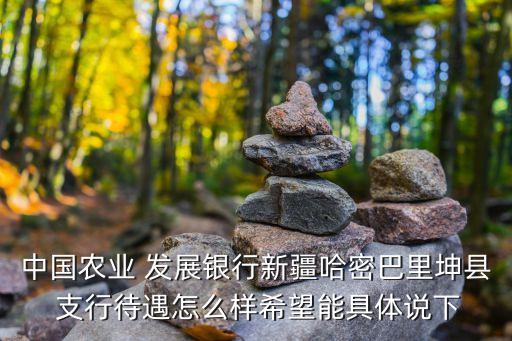 县级农业银行支行怎么发展,农业银行县级支行工资待遇本科