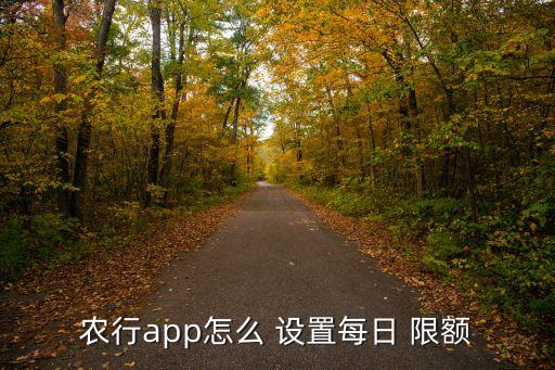农行app怎么 设置每日 限额