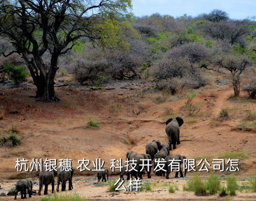 杭州银穗 农业 科技开发有限公司怎么样