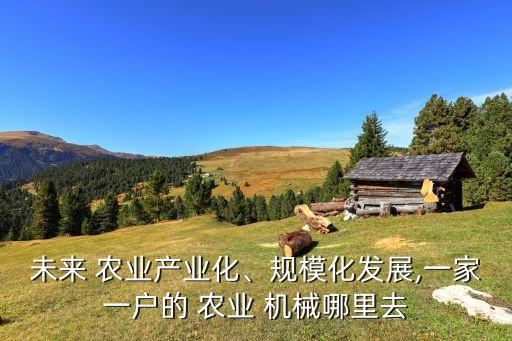 未来 农业产业化、规模化发展,一家一户的 农业 机械哪里去