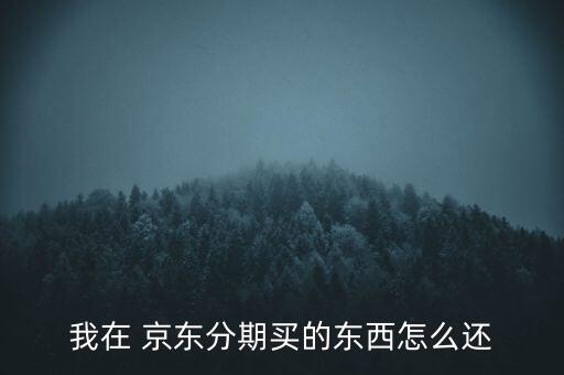 京东农业分期怎么还款,京东白条分期后可以一次性还款吗