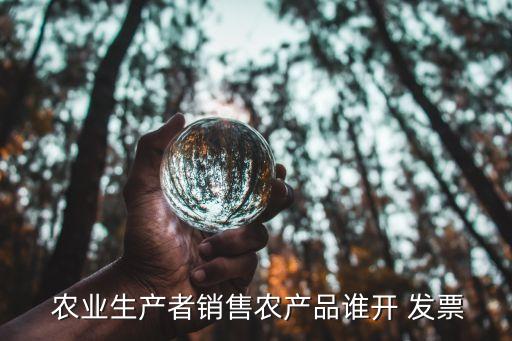  农业生产者销售农产品谁开 发票
