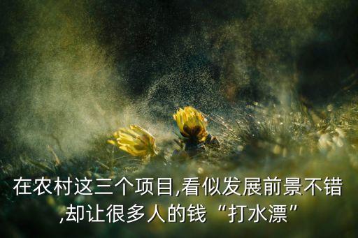 农业回本周期怎么样