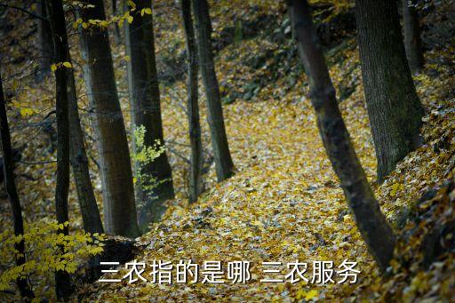 什么是三农农业领域工作,自媒体三农领域都发什么内容