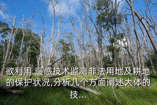 欲利用 遥感技术监测非法用地及耕地的保护状况,分析几个方面阐述大体的技...